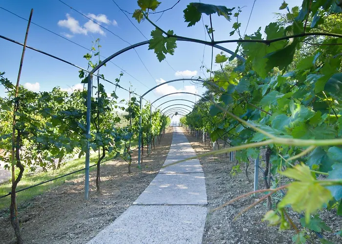 Agriturismo Il Vecchio Mandorlo