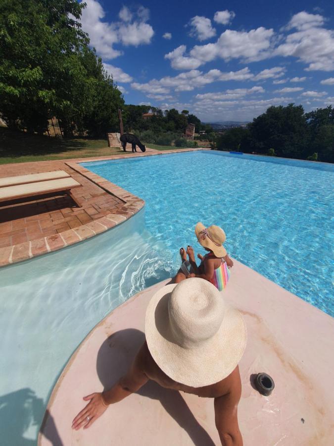 Il Vecchio Mandorlo Farm stay
