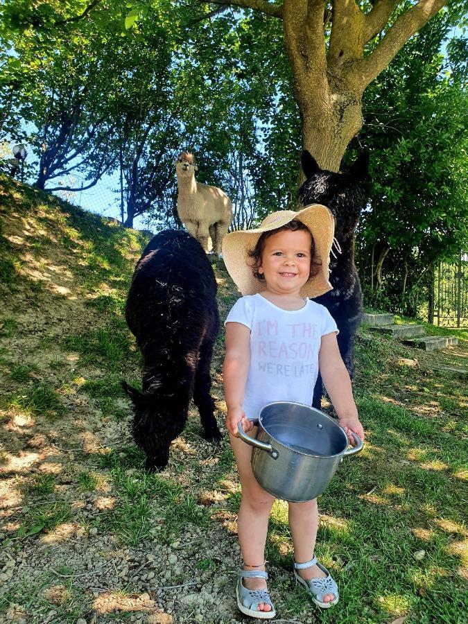 Il Vecchio Mandorlo Farm stay