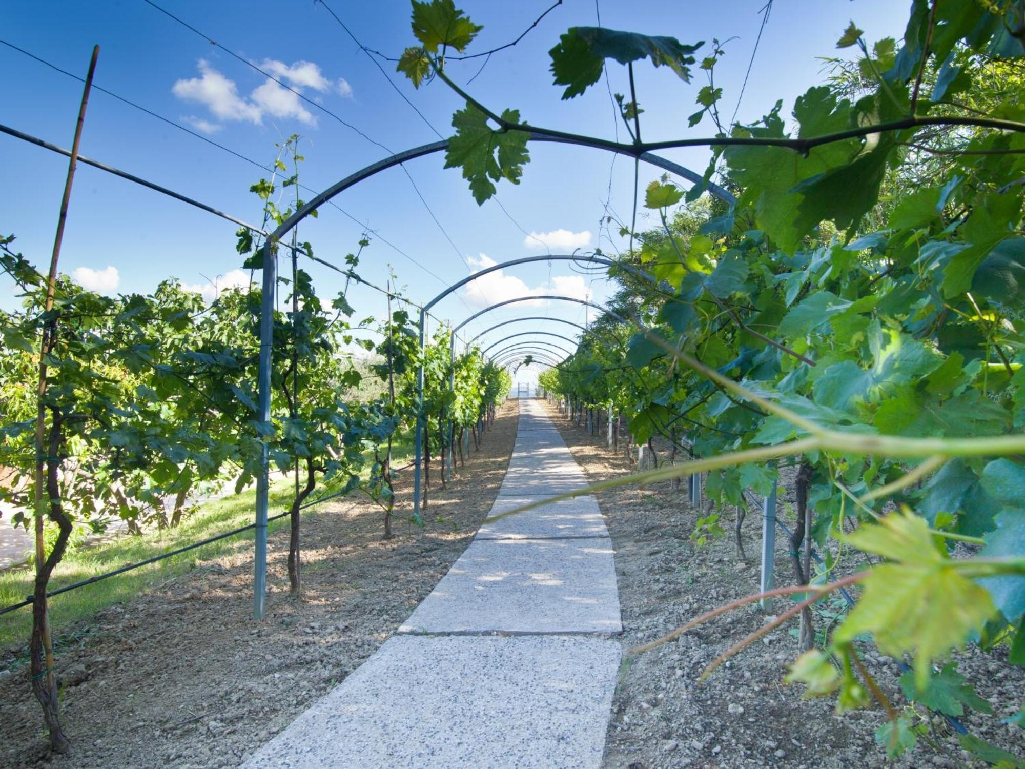 Il Vecchio Mandorlo Farm stay Perugia